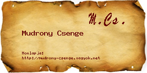Mudrony Csenge névjegykártya